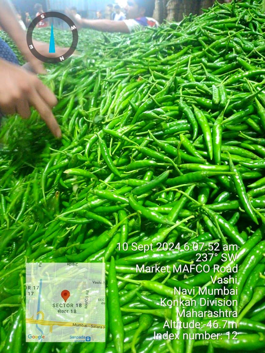 Green chillies sourced at Vashi market, GPS logged