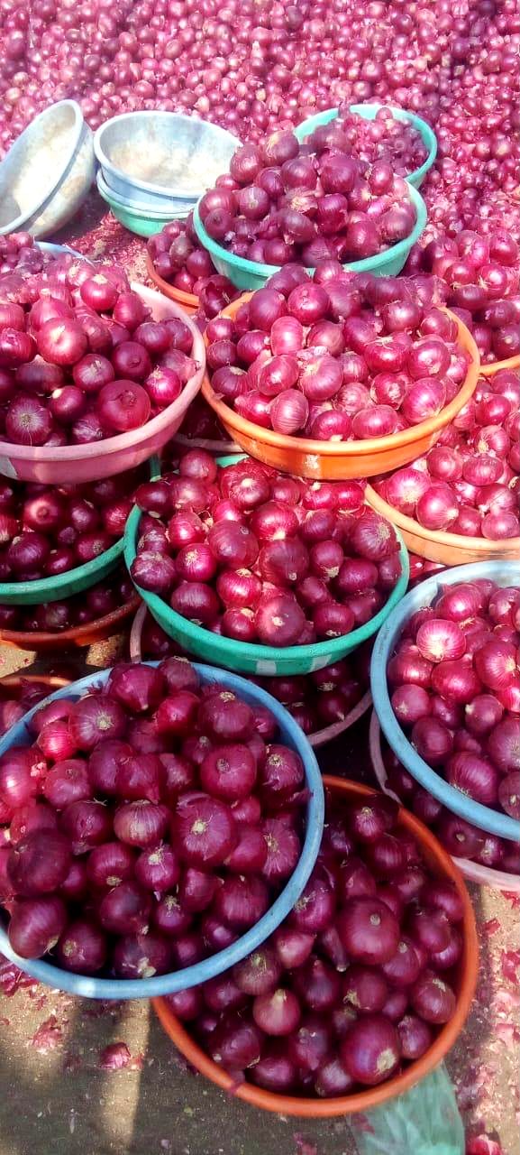 Red onions