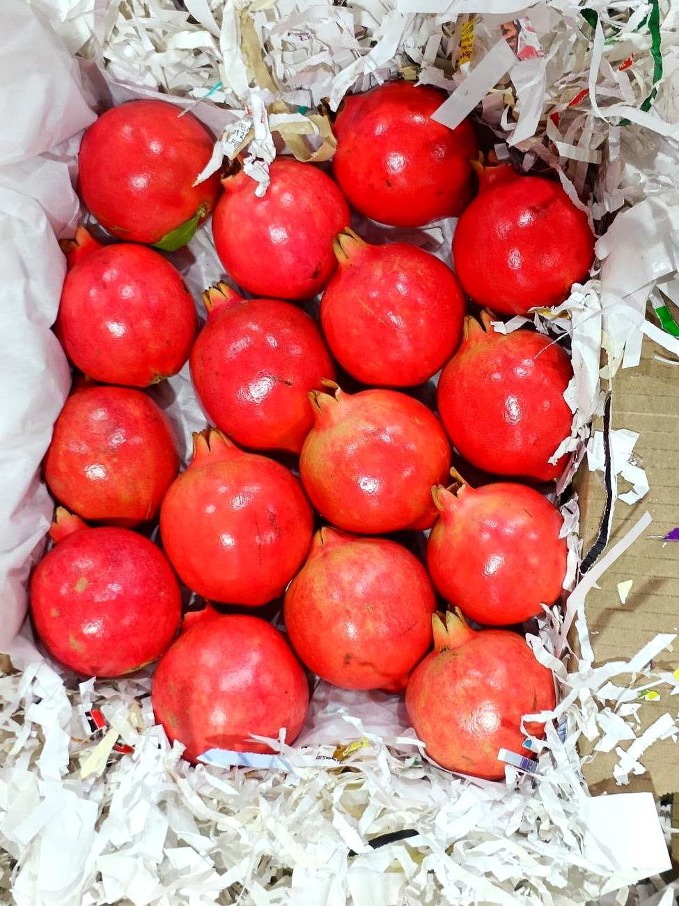 Fresh pomegranates packed for export